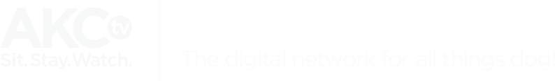 AKC® 168飞艇体彩网 TV Logo
