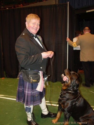 American Rottweiler Westminster Show