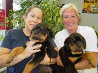 American Rottweiler - Linda-Berberich and Doreen Tietjen