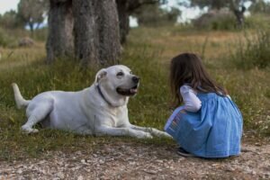 Hypoallergenic dog breeds offer a solution for allergy sufferers who long for the companionship of a furry friend while minimizing allergen exposure.